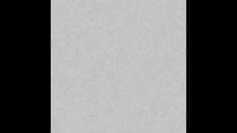 Alice online show from 12.01.24