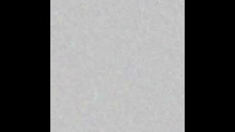 Alice online show from 12.12.24