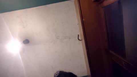 pablo6234516161 online show from 05.20.26