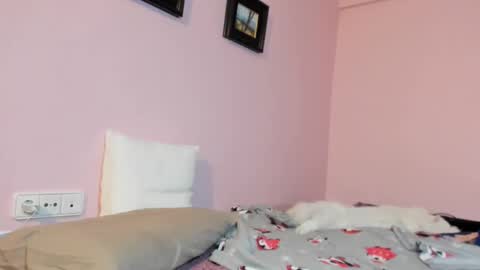 Snapshot of palaustudio chatting on 01.17.25 Merce online show from 01.17.25