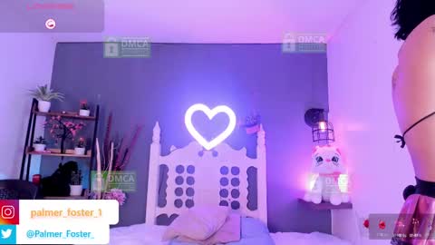 Palmer  online show from 10.02.25