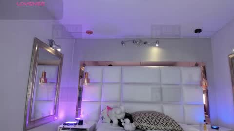 Palmer  online show from 02.20.26