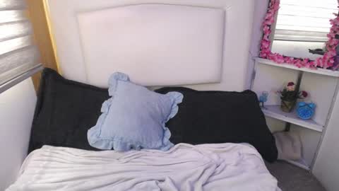 Palmer online show from 12.28.24