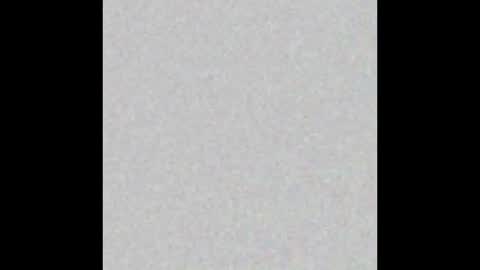 Pamela Jagger online show from 12.11.24