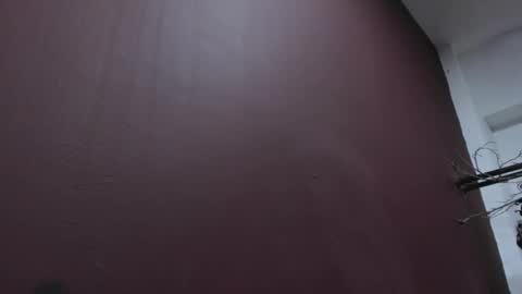  P A M  online show from 10.19.25