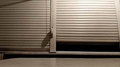 angel hris online show from 12.03.25