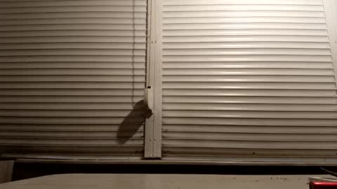 Snapshot of pamid215 chatting on 01.14.26 angel hris online show from 01.14.26