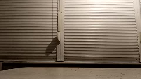 Snapshot of pamid215 chatting on 02.04.26 angel hris online show from 02.04.26