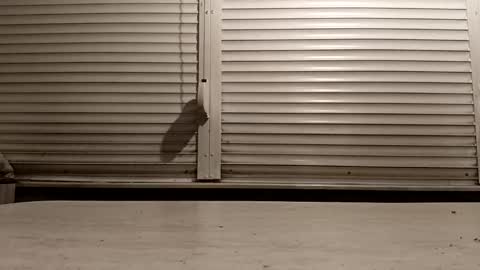 Snapshot of pamid215 chatting on 02.25.26 angel hris online show from 02.25.26