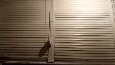 Snapshot of pamid215 chatting on 03.05.26 angel hris online show from 03.05.26