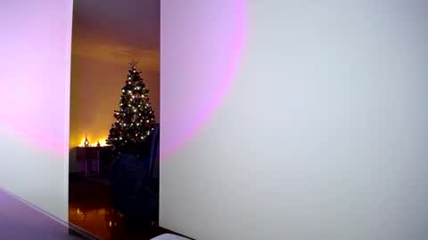 pandora__1 online show from 11.05.25