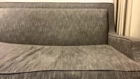 Oleg online show from 02.11.25