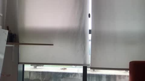 Snapshot of paolo365 chatting on 11.19.25 LaRocca online show from 11.19.25