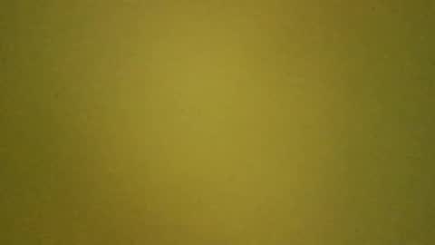 Snapshot of paolo365 chatting on 03.14.26 LaRocca online show from 03.14.26