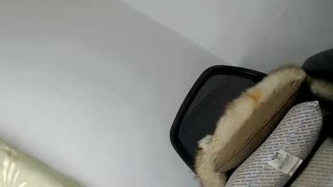 Snapshot of papigoddesslover chatting on 01.20.25 Fina Dwarf online show from 01.20.25