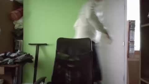 Papito online show from 03.11.25