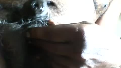 pappi_rambo online show from 07.17.26