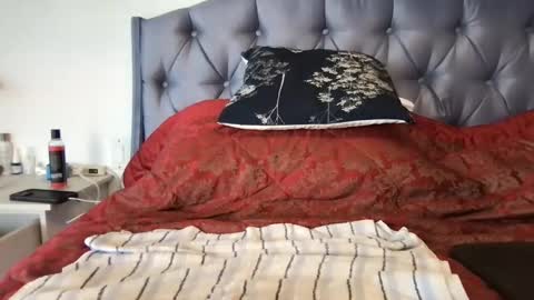 Paradise Bird01 online show from 01.17.25