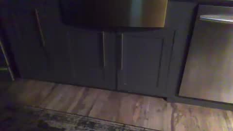 Snapshot of parkerflexes chatting on 01.17.26 Parker online show from 01.17.26