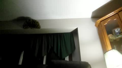 Snapshot of part86 chatting on 01.26.25 part86 online show from 01.26.25