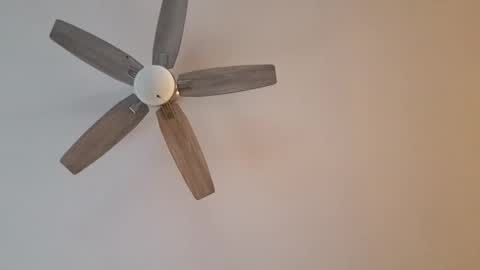 Snapshot of patrick247288 chatting on 01.12.25 patrick247288 online show from 01.12.25