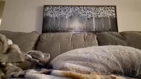 Snapshot of patrick247288 chatting on 02.12.25 patrick247288 online show from 02.12.25