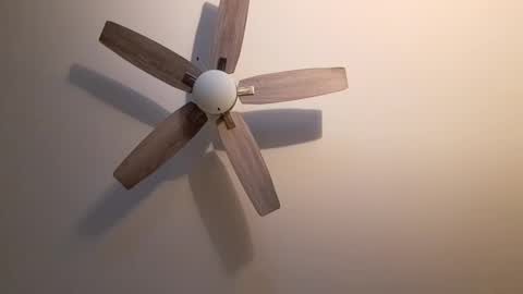 Snapshot of patrick247288 chatting on 09.18.25 patrick247288 online show from 09.18.25