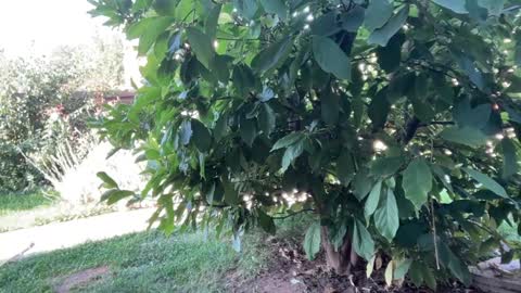 Andreea online show from 09.23.25