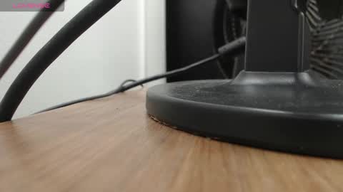 PAUL online show from 11.19.25