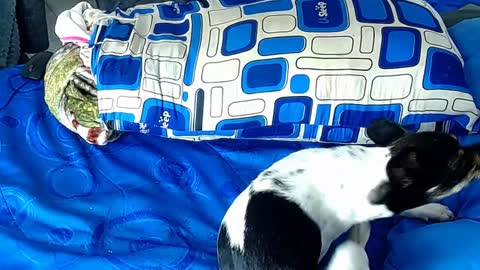 Snapshot of paula_willss chatting on 01.06.25 paula_willss online show from 01.06.25