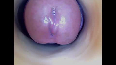 Snapshot of paulainoscente chatting on 01.31.25 Paula 18 Aninhos online show from 01.31.25