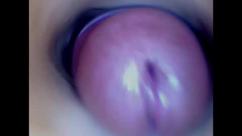 Snapshot of paulainoscente chatting on 02.01.25 Paula 18 Aninhos online show from 02.01.25