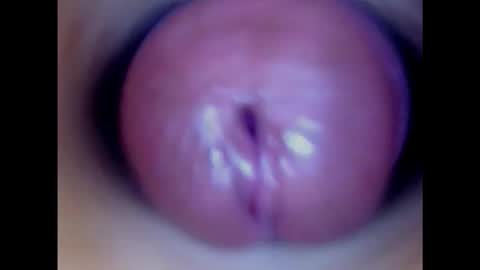 Snapshot of paulainoscente chatting on 02.02.25 Paula 18 Aninhos online show from 02.02.25