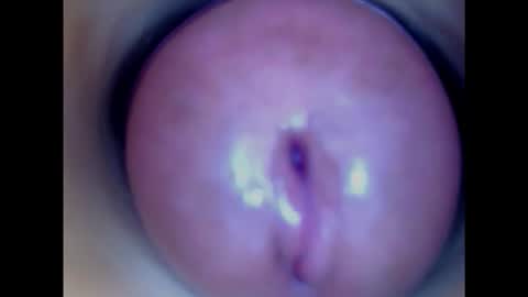 Snapshot of paulainoscente chatting on 02.04.25 Paula 18 Aninhos online show from 02.04.25