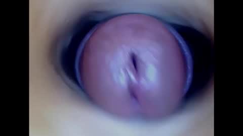 Snapshot of paulainoscente chatting on 02.05.25 Paula 18 Aninhos online show from 02.05.25