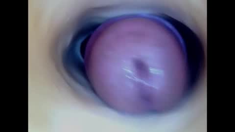 Snapshot of paulainoscente chatting on 02.06.25 Paula 18 Aninhos online show from 02.06.25