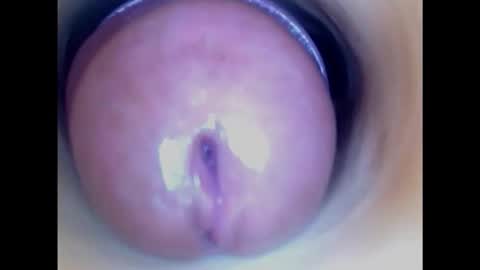 Snapshot of paulainoscente chatting on 02.08.25 Paula 18 Aninhos online show from 02.08.25