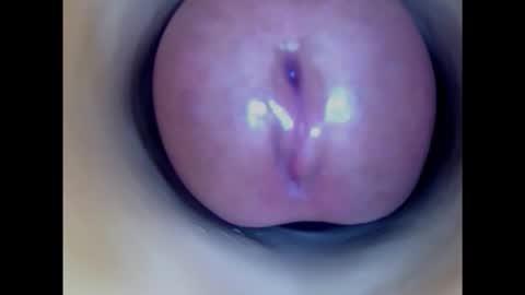 Snapshot of paulainoscente chatting on 02.12.25 Paula 18 Aninhos online show from 02.12.25