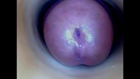 Snapshot of paulainoscente chatting on 02.14.25 Paula 18 Aninhos online show from 02.14.25