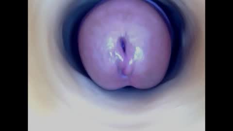 Snapshot of paulainoscente chatting on 02.16.25 Paula 18 Aninhos online show from 02.16.25