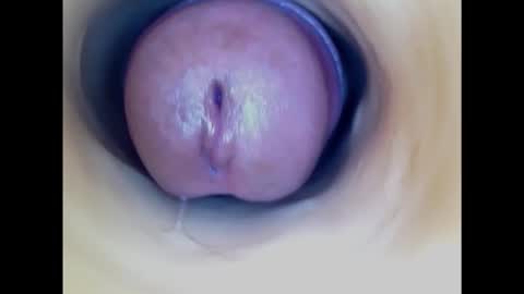 Snapshot of paulainoscente chatting on 02.19.25 Paula 18 Aninhos online show from 02.19.25