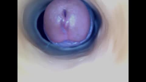 Snapshot of paulainoscente chatting on 02.20.25 Paula 18 Aninhos online show from 02.20.25