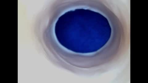 Snapshot of paulainoscente chatting on 02.22.25 Paula 18 Aninhos online show from 02.22.25