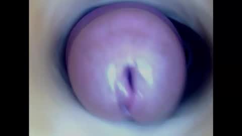 Snapshot of paulainoscente chatting on 02.23.25 Paula 18 Aninhos online show from 02.23.25