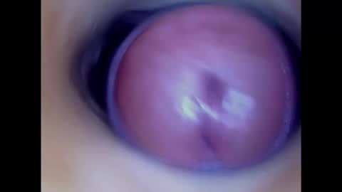 Snapshot of paulainoscente chatting on 02.24.25 Paula 18 Aninhos online show from 02.24.25