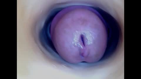 Snapshot of paulainoscente chatting on 03.02.25 Paula 18 Aninhos online show from 03.02.25