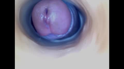 Snapshot of paulainoscente chatting on 10.26.25 Paula 18 Aninhos online show from 10.26.25