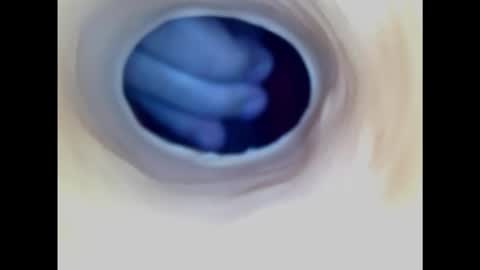 Snapshot of paulainoscente chatting on 11.02.25 Paula 18 Aninhos online show from 11.02.25