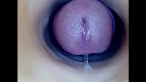 Snapshot of paulainoscente chatting on 11.05.25 Paula 18 Aninhos online show from 11.05.25