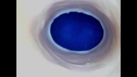 Snapshot of paulainoscente chatting on 11.09.25 Paula 18 Aninhos online show from 11.09.25